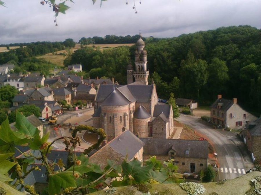 ARBRADRAGON Elagueur Img – 5 49